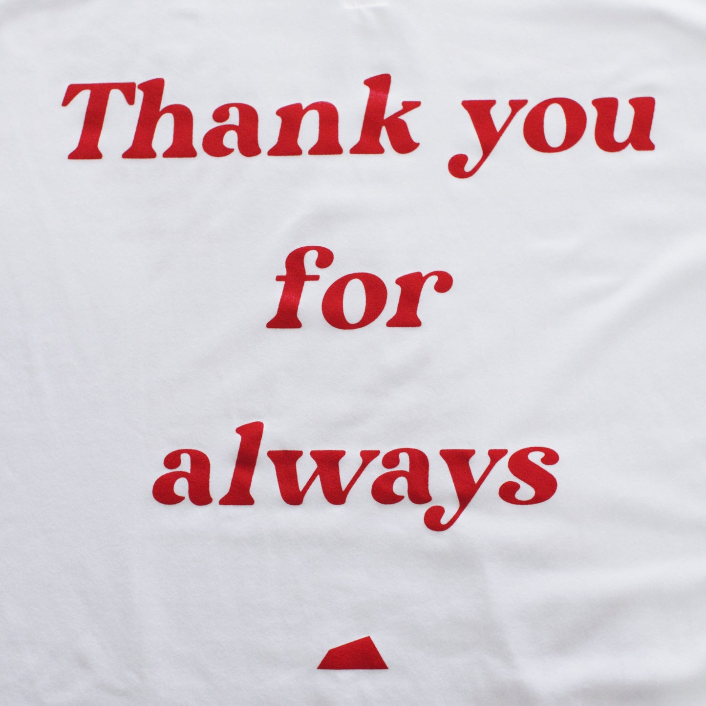 melple×SALVAGE PUBLIC / Thank you SURF S/S TEE